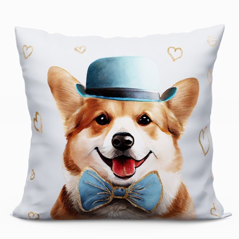 CORGI Poduszka z wypełnieniem silikonowym dwustronna MICROFIBRA, 40x40cm, kolor 001 T00014/SIL/001/040040/1 CORGI Poduszka z wypełnieniem silikonowym dwustronna MICROFIBRA, 40x40cm, kolor 001 T00014/SIL/001/040040/1