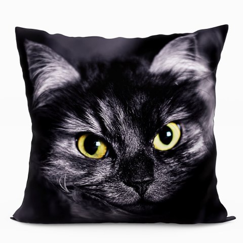 KOT Poduszka z wypełnieniem silikonowym dwustronna MICROFIBRA, 40x40cm, kolor 001 T00012/SIL/001/040040/1 KOT Poduszka z wypełnieniem silikonowym dwustronna MICROFIBRA, 40x40cm, kolor 001 T00012/SIL/001/040040/1