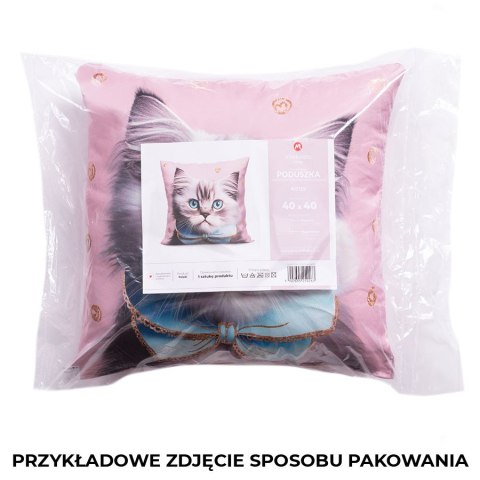 KOT I PIES Poduszka z wypełnieniem silikonowym dwustronna MICROFIBRA, 40x40cm, kolor 001 T00021/SIL/001/040040/1 KOT I PIES Poduszka z wypełnieniem silikonowym dwustronna MICROFIBRA, 40x40cm, kolor 001 T00021/SIL/001/040040/1