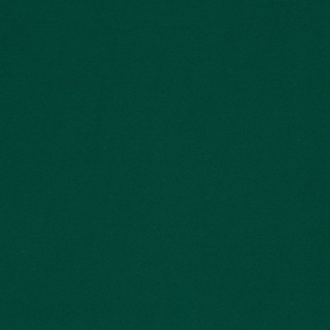 Tkanina dekoracyjna blackout DONA wysokość 300 cm kolor ciemny zielony Tkanina dekoracyjna blackout DONA wysokość 300 cm kolor ciemny zielony