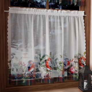 GIRLANDA Zazdrostka woalowa, WOAL, szerokość 100 x wysokość 60cm, kolor 001 zielony PBN157/ZAZ/001/100060/1