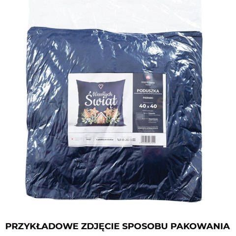 PIERNIKI Poduszka z wypełnieniem silikonowym dwustronna MICROFIBRA, 40x40cm, kolor 003 zielony TBN016/SIL/003/040040/1 PIERNIKI Poduszka z wypełnieniem silikonowym dwustronna MICROFIBRA, 40x40cm, kolor 003 zielony TBN016/SIL/003/040040/1
