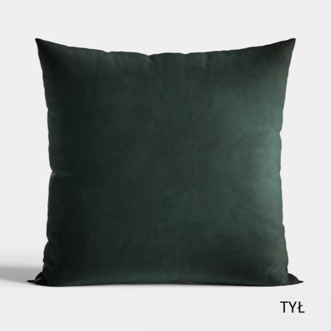 KOT FILEMON Poszewka dekoracyjna VELVET, 40x40cm, kolor 001 P00146/POP/001/040040/1 KOT FILEMON Poszewka dekoracyjna VELVET, 40x40cm, kolor 001 P00146/POP/001/040040/1