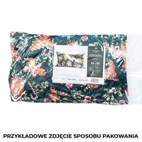 PIERNIKI Poduszka z wypełnieniem silikonowym dwustronna MICROFIBRA, 30x50cm, kolor 001 biały TBN016/SIL/001/030050/1 PIERNIKI Poduszka z wypełnieniem silikonowym dwustronna MICROFIBRA, 30x50cm, kolor 001 biały TBN016/SIL/001/030050/1