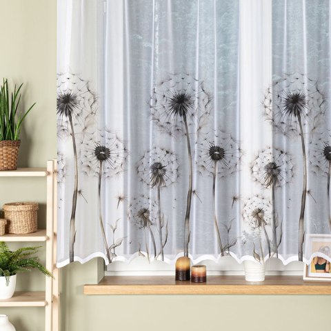 DMUCHAWCE Firanka żakardowa gotowa na prosto, szerokość 300 x wysokość 160cm, kolor 001 biały P00307/FBP/001/300160/1 DMUCHAWCE Firanka żakardowa gotowa na prosto, szerokość 300 x wysokość 160cm, kolor 001 biały P00307/FBP/001/300160/1