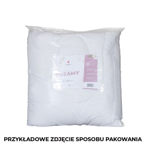 DREAMY ZIMOWA DUO Kołdra z wypełnieniem silikonowym, rozmiar 220x200cm KOLDRA/SIL/D00/220200/1 DREAMY ZIMOWA DUO Kołdra z wypełnieniem silikonowym, rozmiar 220x200cm KOLDRA/SIL/D00/220200/1