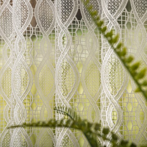 Zazdrostka gipiurowa, wysokość 60cm, kolor 010 naturalny 016472/447/010/000060/1