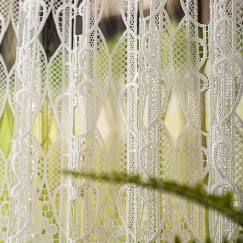 Zazdrostka gipiurowa, wysokość 40cm, kolor 010 naturalny 016451/447/010/000040/1