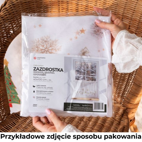 CHOINKI, ZIMOWA OPOWIEŚĆ Zazdrostka woalowa, WOAL, szerokość 100 x wysokość 40cm, kolor 001 biały PBN336/ZAZ/001/100040/1