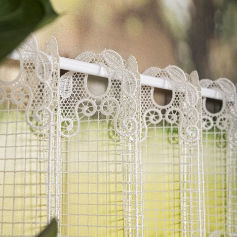 Zazdrostka gipiurowa, wysokość 90cm, kolor 010 naturalny 016409/447/010/000090/1