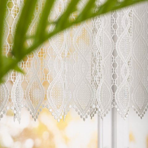 Zazdrostka gipiurowa, wysokość 90cm, kolor 010 naturalny 016472/447/010/000090/1