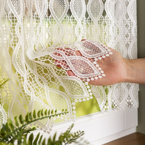 Zazdrostka gipiurowa, wysokość 90cm, kolor 010 naturalny 016472/447/010/000090/1