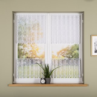 Zazdrostka gipiurowa, wysokość 60cm, kolor 001 biały 016472/447/001/000060/1