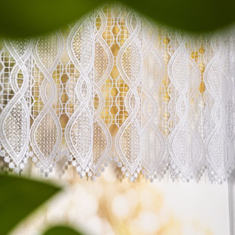 Zazdrostka gipiurowa, wysokość 60cm, kolor 001 biały 016472/447/001/000060/1