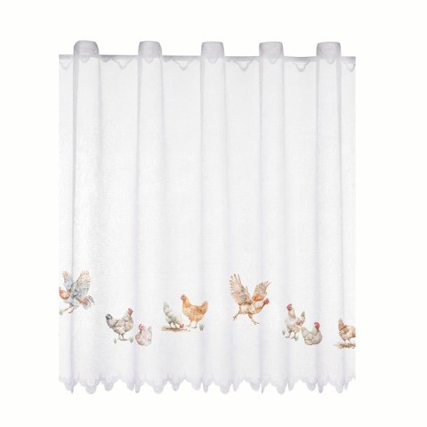 KURY Zazdrostka żakardowa 361910, wysokość 70cm, kolor 001 D00298/ZAZ/001/000070/1