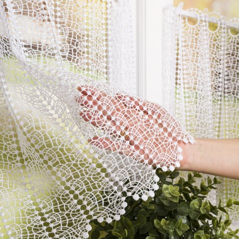 Zazdrostka gipiurowa, wysokość 60cm, kolor 001 biały 016372/447/001/000060/1