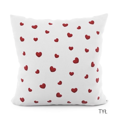 PYSIEK Poszewka dekoracyjna VELVET, 40x40cm, kolor 001 brązowy PWA002/POP/001/040040/1 PYSIEK Poszewka dekoracyjna VELVET, 40x40cm, kolor 001 brązowy PWA002/POP/001/040040/1